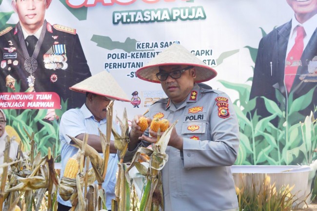 Panen Raya Jagung di PT Tasmapuja, Kapolres Kampar: Pertanian Jadi Kekuatan Ketahanan Pangan Riau